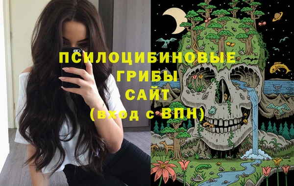 крисы Кинешма