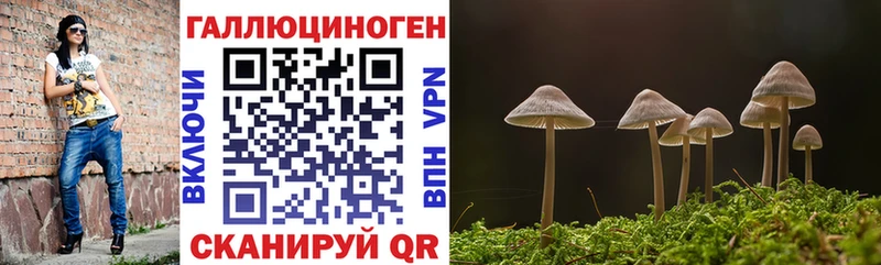MEGA tor  закладка  Называевск  Псилоцибиновые грибы Psilocybine cubensis 